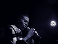 Antibalas in Portland 2010, photo by Daniel Temmesfeld, cc 2010