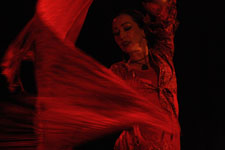 MEDGE Eugene international dance day featuring Karim Nagi WOW Hall 2010, photo by Daniel Temmesfeld, cc 2010