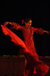 MEDGE Eugene international dance day featuring Karim Nagi WOW Hall 2010, photo by Daniel Temmesfeld, cc 2010