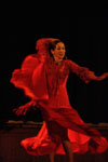 MEDGE Eugene international dance day featuring Karim Nagi WOW Hall 2010, photo by Daniel Temmesfeld, cc 2010