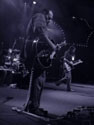 Toad the Wet Sprocket in Portland 2010, photo by Daniel Temmesfeld, cc 2010
