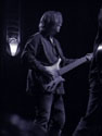 Toad the Wet Sprocket in Portland 2010, photo by Daniel Temmesfeld, cc 2010
